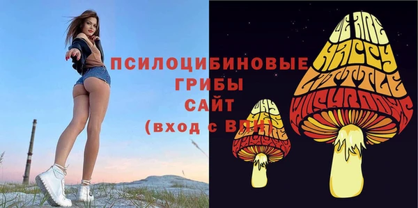 jwh Абаза