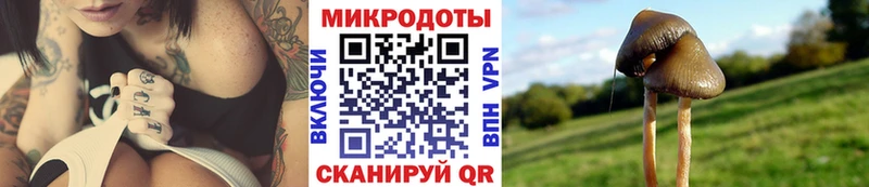 кракен ТОР Ефремов Галлюциногенные грибы MAGIC MUSHROOMS